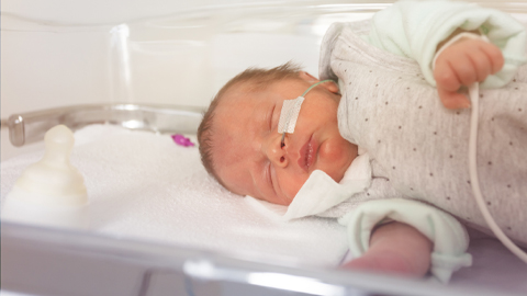 New surfactant could improve lung treatments for premature babies