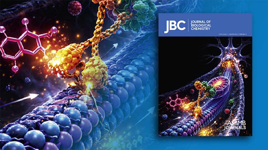 ASBMB’s JBC expands scientific scope