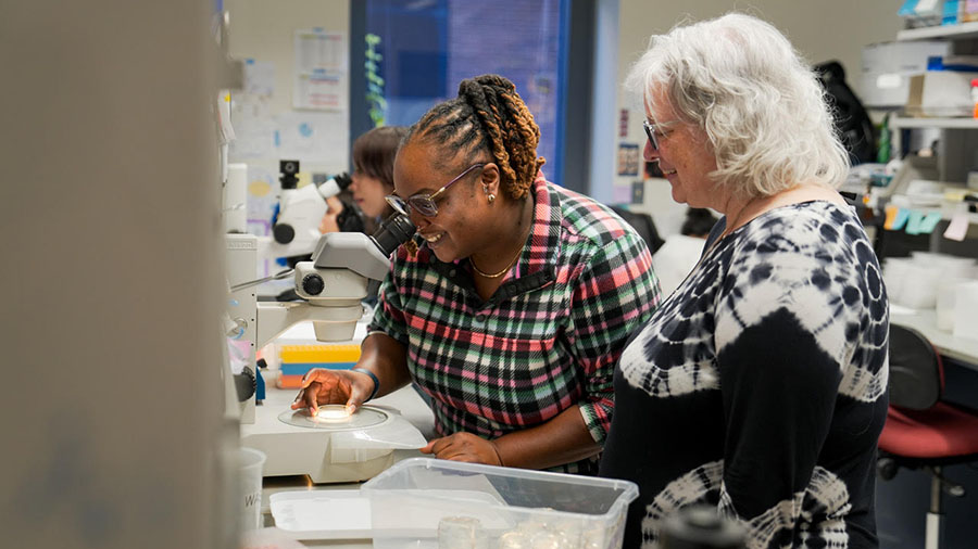 Fueling healthier aging, connecting metabolism stress and time