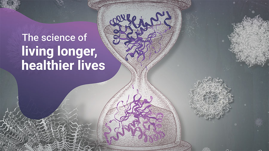 The timekeepers of proteostasis