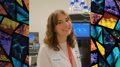 Understanding the roles of extracellular matrix and vesicles in valvular disease