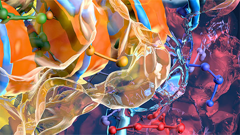 ASBMB launches Insights in Biochemistry and Molecular Biology