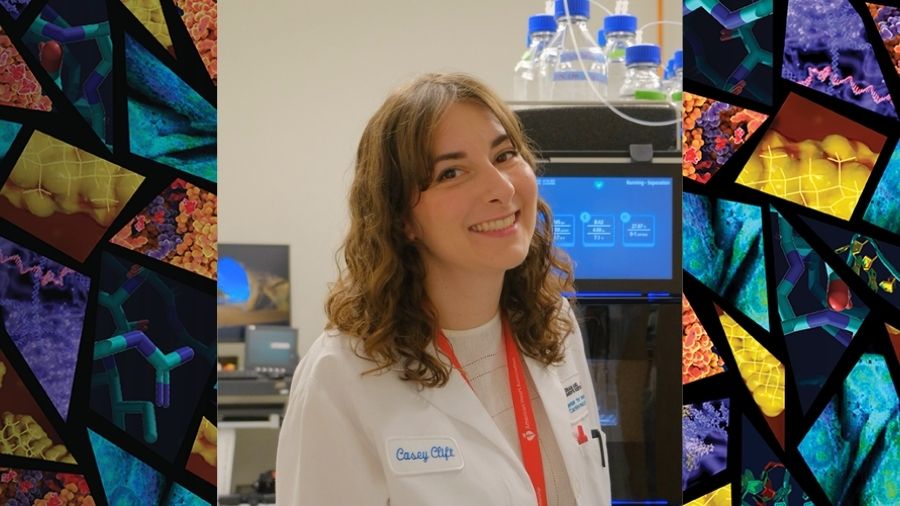 Understanding the roles of extracellular matrix and vesicles in valvular disease