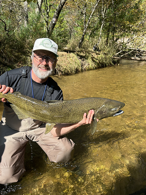 Professor emeritus Lee Kroos enjoys his retirement after 36 years at MSU. An expert in the molecular and genetic mechanisms of bacteria, Kroos partnered with Orlando for a breakthrough that was decades in the making.