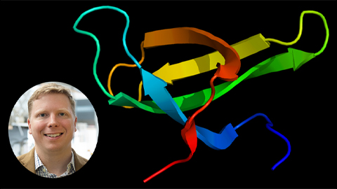 Study sheds light on treatment for rare genetic disorder