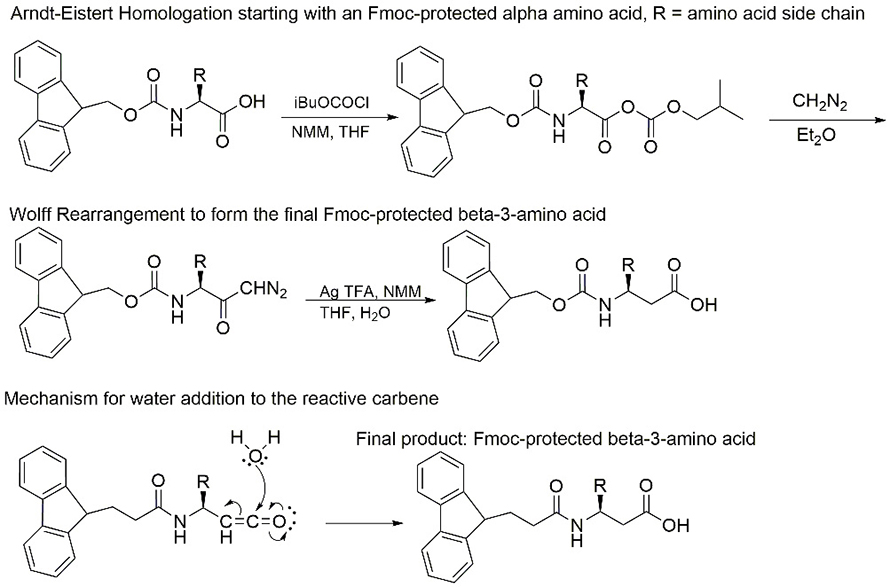 The two steps required by each synthesis Danielle Guarracino performed as a first-year graduate student: the Arndt-Eistert homologation and the Wolff rearrangement.