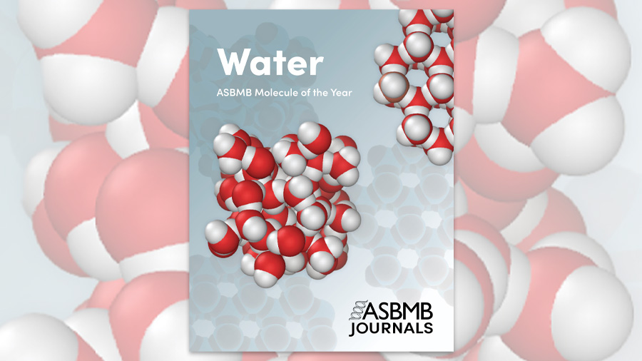 Virtual issue celebrates water in ASBMB journals