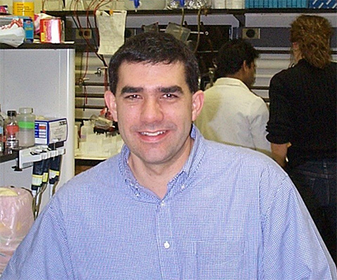 Dan Hebert in his lab at the University of Massachusetts Amherst in 2001.