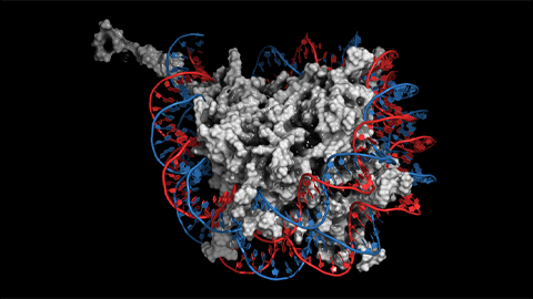 From the journals: JBC