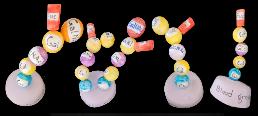 The Federal College student designed these caps to represent red blood cell membrane–associated antigens responsible for ABO blood groups.