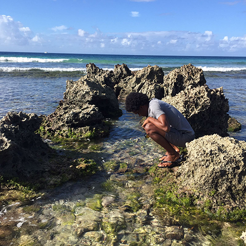 Shane Austin looks for nerite snails in a tidal pool on the coast of Barbados. These snails have a limited marine habitat between low and high tide.