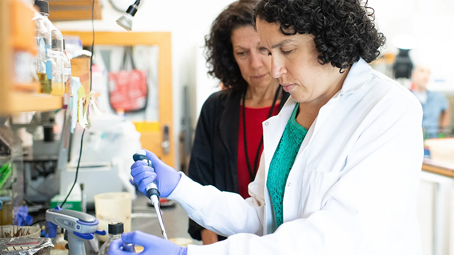 Research associate Julie Valastyan (front) works with Bonnie Bassler in her lab at Princeton University.