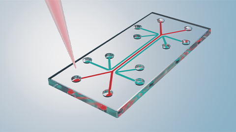 Tiny laboratories that fit in your hand can rapidly identify pathogens using electricity