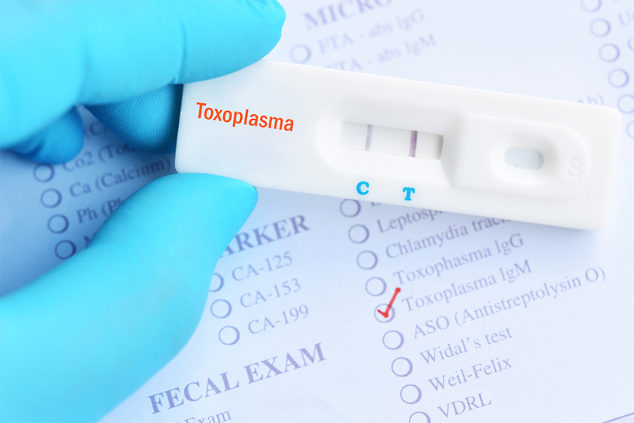 Some countries, such as France, have implemented routine prenatal toxoplasmosis screening and treatment.