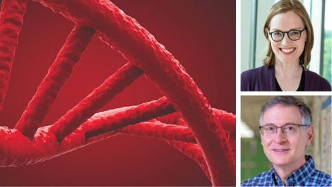 Exploring life’s blueprint: Gene expression in development and evolution