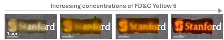 A piece of chicken breast looks transparent after a soak in FD&C Yellow 5 dye.