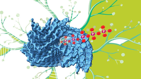 Finding a missing piece for neurodegenerative disease research