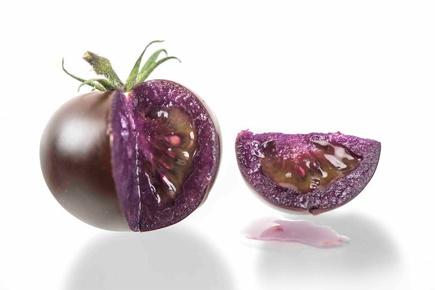 Consumers can also grow the purple tomato, genetically engineered to contain pigment-producing genes from the snapdragon plant, resulting in antioxidant-rich tomatoes with a dark purple hue.