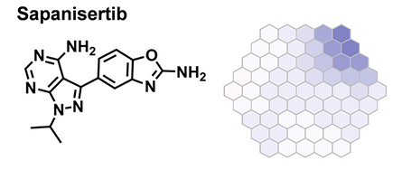 The Penn State team used mass spectrometry and a process called metabolic fingerprint profiling to determine the parasite's response to sapanisertib. They found that the cancer drug affects the parasite’s metabolism of hemoglobin (shown as a decrease in blue in the top right of the “MetaPrint”, where each small hexagon represents a portion of the parasite’s metabolic function.