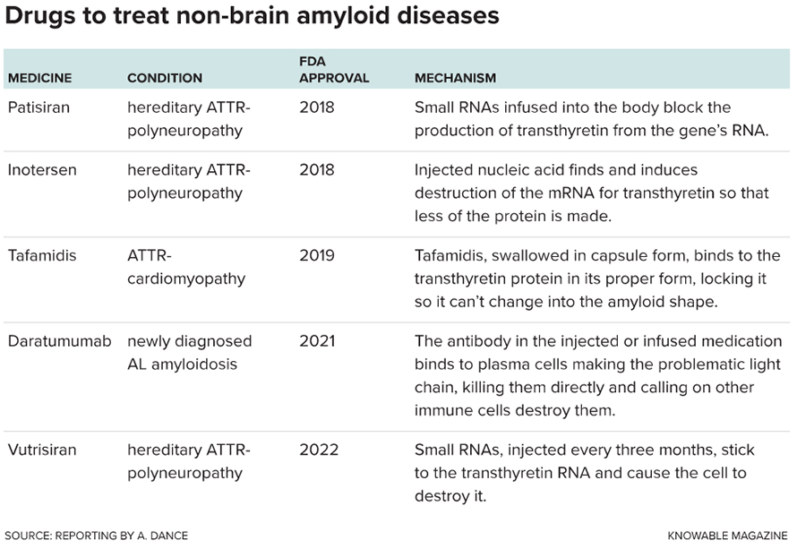 Amyloidosis: Beyond Alzheimers And Parkinson’s