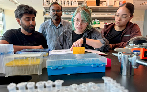 Members of the Chandrasekaran lab coauthored a new paper on switchback DNA. Left to right: Arun Richard Chandrasekaran, Bharath Raj Madhanagopal, undergraduate researcher Hannah Talbot, research associate Arlin Rodriguez