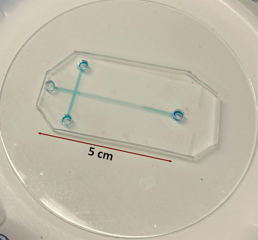 This is an example of a microfluidic electrophoresis device the author uses in her lab.