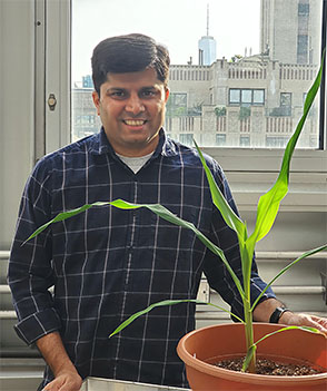 Sunil Kenchanmane Raju, an assistant professor of plant resilience, recently opened his own lab at the University of California Riverside and will develop single-cell sequencing technologies in plants.