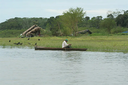 Pucallpa-Peru-445x297.jpg