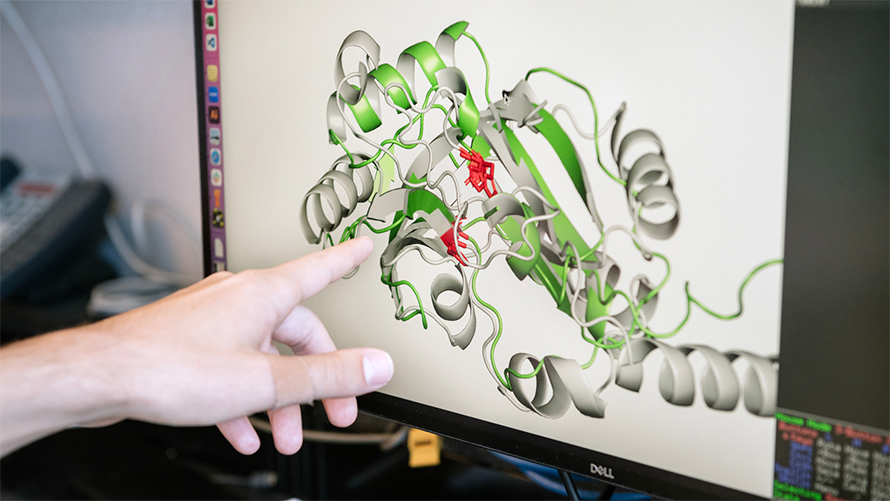 Nomburg and his colleagues used computational and deep learning tools to predict the 3D shapes of proteins from nearly 4,500 species of viruses that infect animals and humans, providing clues to their biological functions.