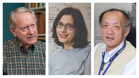 Hanawalt, Nagata and Regev named AACR fellows