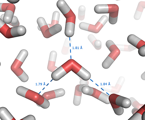 The blue dotted lines represent the hydrogen bonds in liquid water.