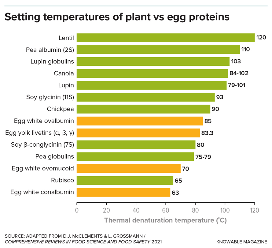 One reason that plant-based eggs don’t behave like real ones when cooked is that most plant proteins set, or denature, at higher temperatures. Choosing plant proteins that set at lower temperatures is an important first step in making a convincing egg substitute.