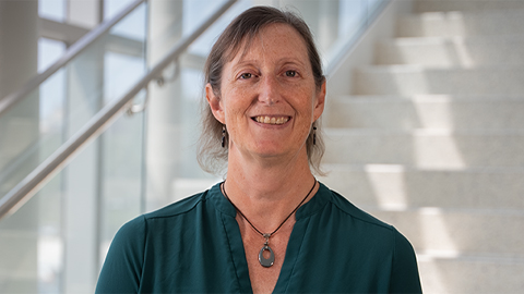 Examining mechanisms of protein complex at a basic cell biological level