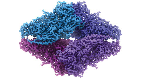 Crazy for cryo-EM