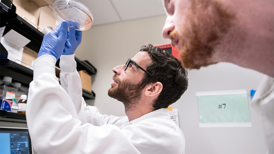 The team’s findings and data analysis is publicly available, so researchers worldwide can continue to uncover how viruses interact with their hosts. Seen here are Jason Nomburg (left) and Nate Price (right).