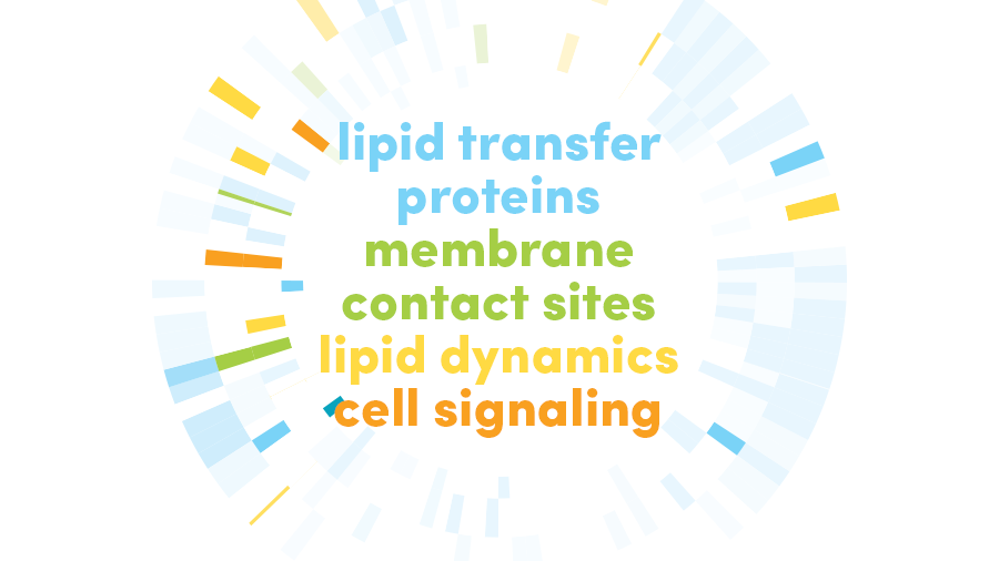 The Rising Stars in Cell Biology Symposium – Department of Cell