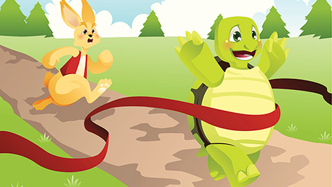 The tortoise wins: How slowing down saved my Ph.D.