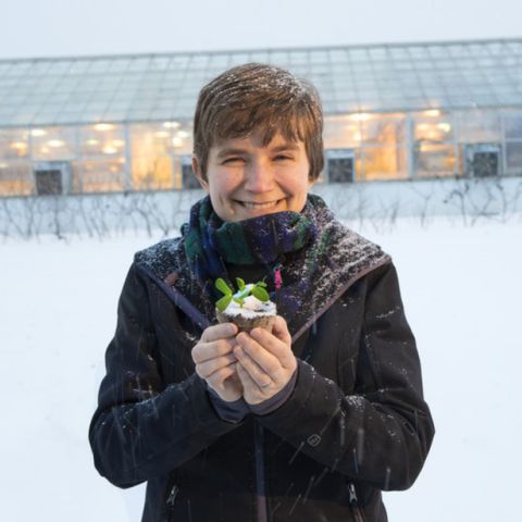 Rebecca Roston, an associate professor and chair of plant sciences at the University of Nebraska, studies plants, such as sorghum seen here, to make them more cold-resistant