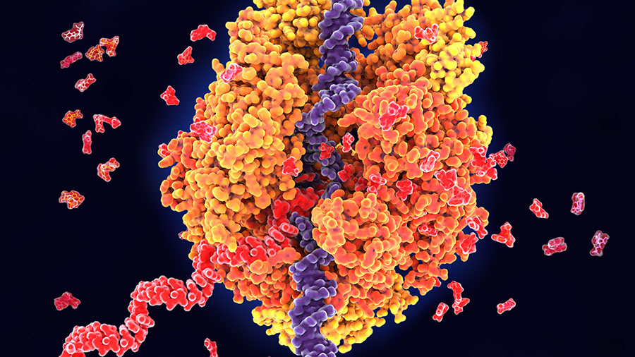 RNA image