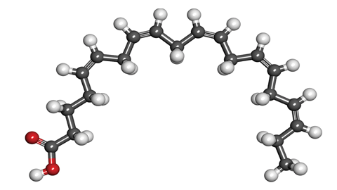 JLR: Technique boosts omega-3 fatty acid levels in brain 100-fold