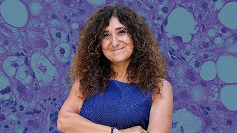 Uncovering the molecular roots of fatty liver disease