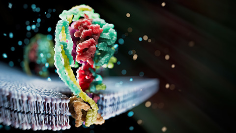 Mass spec method captures proteins in native membranes