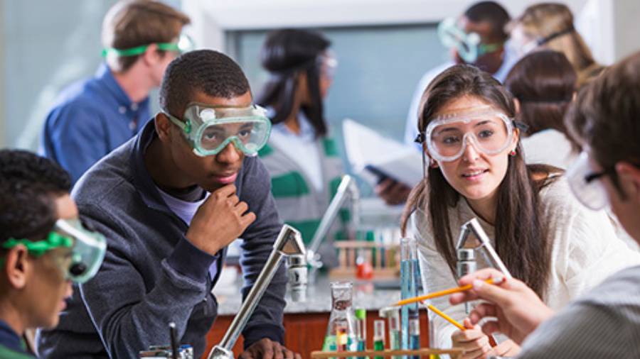 Upcoming opportunities