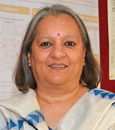 portrait of Sandhya Visweswariah