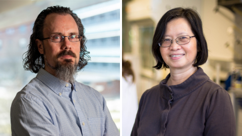 Tse–Dinh named to Florida academy; Llinás named distinguished professor