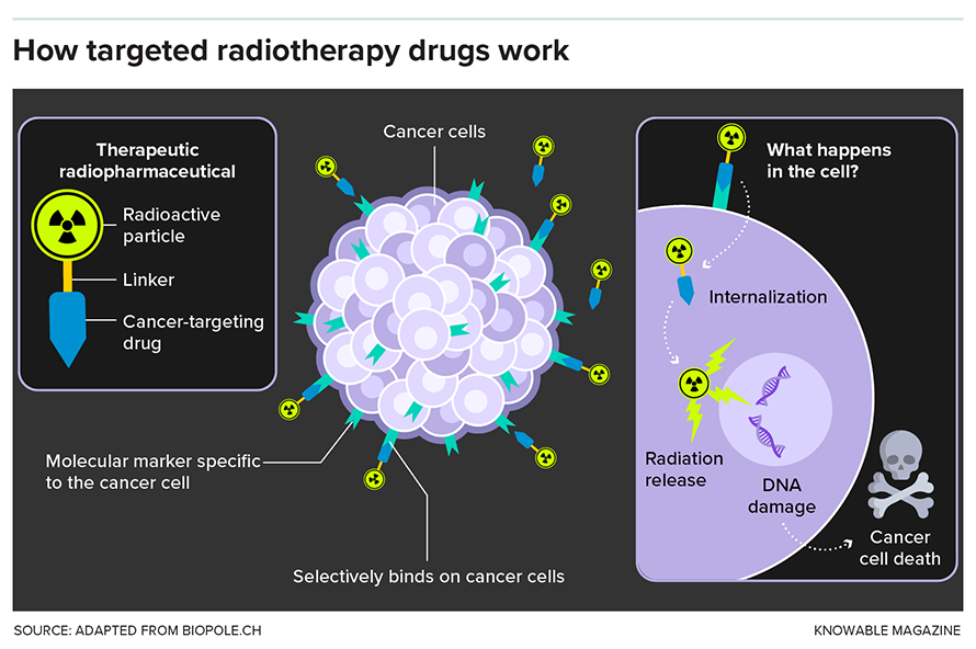This graphic describes the basics of radiopharmaceuticals.