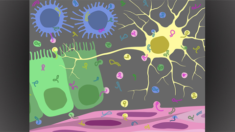 New snapshots of RNA travels