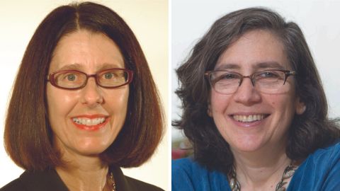 National Academy elects Pfeffer and Schiffer