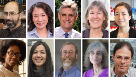 ASBMB names 2024 award winners