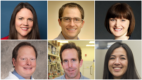 Journal of Lipid Research names new junior associate editors